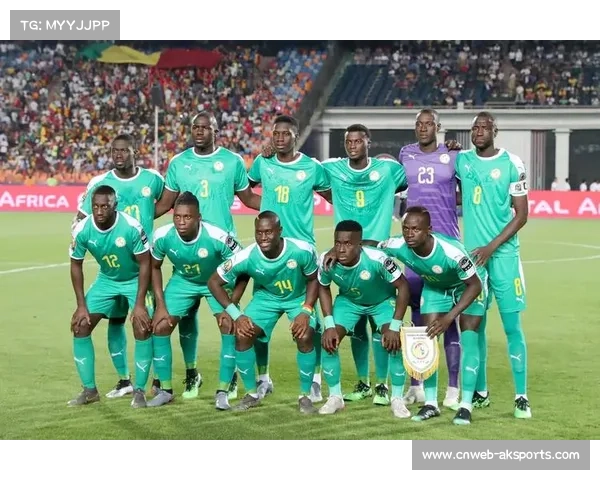 塞内加尔连续第三次晋级世界杯,马内领军冲击更好成绩 塞内加尔连续第三次晋级世界杯,马内领军冲击更好成绩