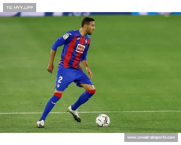 布尔戈斯场均19.8次助攻展团队篮球风格，麦克法登冲击力成进攻利器